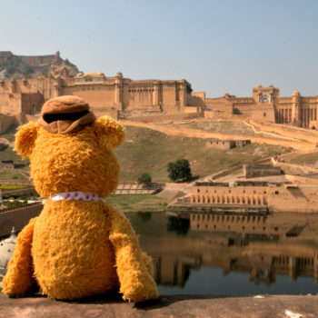 Fozzie in Jaipur