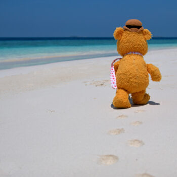 Fozzie in the Maldives