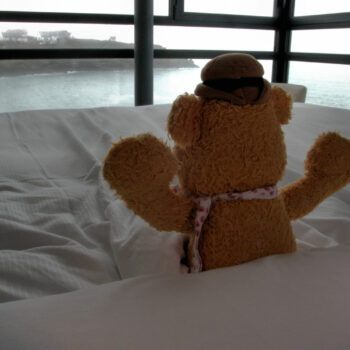 Fozzie in Brittany
