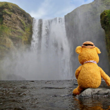 Fozzie in Iceland