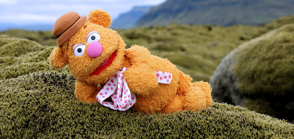 Fozzie in Iceland